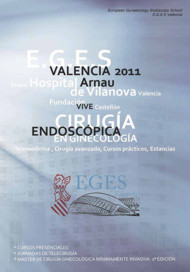 Valencia curso teorico sobre cirugia suelo pelviano