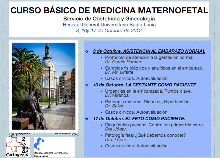 Curso básico de medicina maternofetal